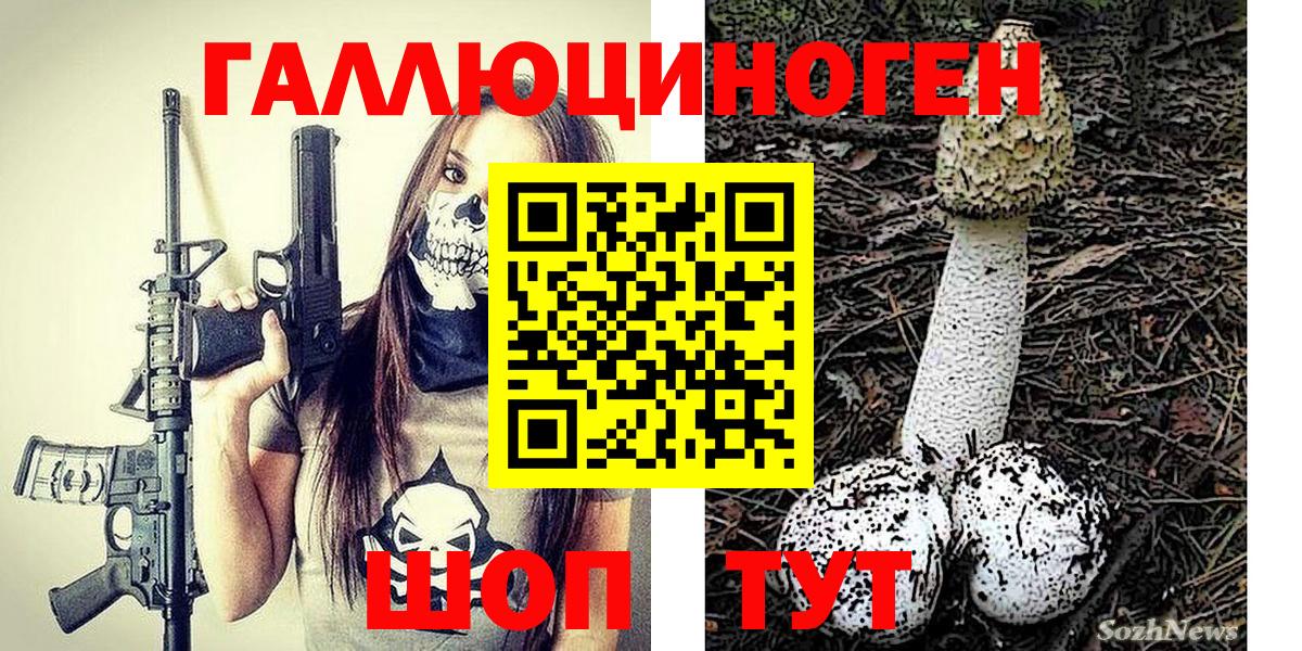 Галлюциногенные грибы Psilocybine cubensis Мытищи