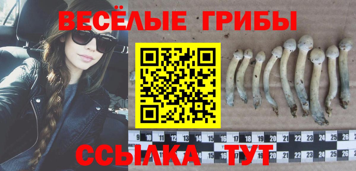 Галлюциногенные грибы MAGIC MUSHROOMS  Вход с VPN  Мытищи 